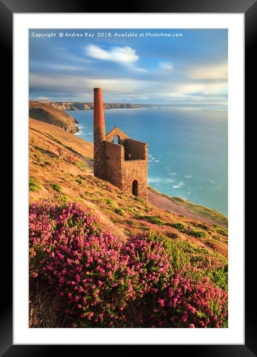 Summer Evening (Wheal Coates)  Framed Mounted Print by Andrew Ray