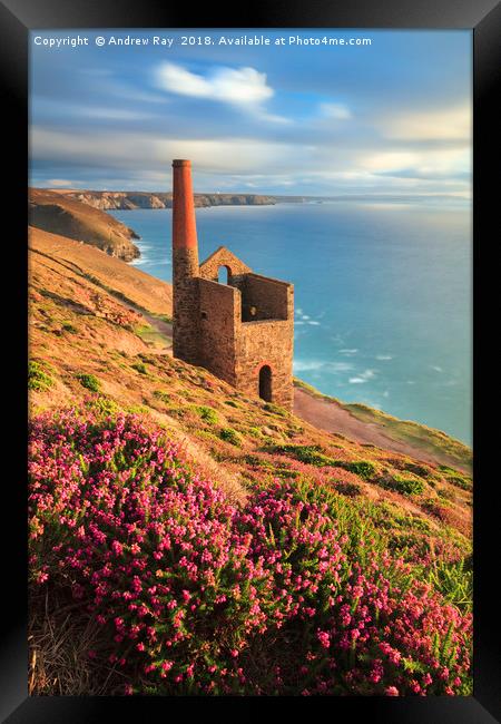 Summer Evening (Wheal Coates)  Framed Print by Andrew Ray
