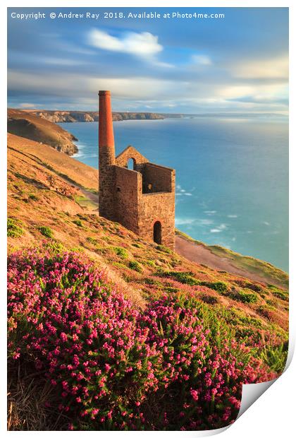 Summer Evening (Wheal Coates)  Print by Andrew Ray