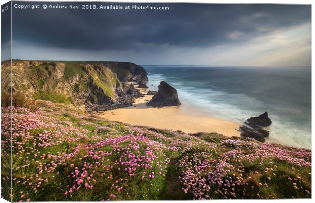 Spring Evening at Bedruthan Steps Canvas Print by Andrew Ray