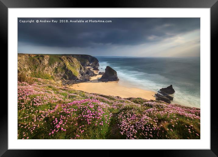Spring Evening at Bedruthan Steps Framed Mounted Print by Andrew Ray