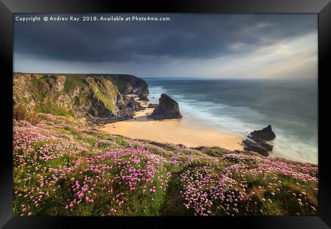 Spring Evening at Bedruthan Steps Framed Print by Andrew Ray