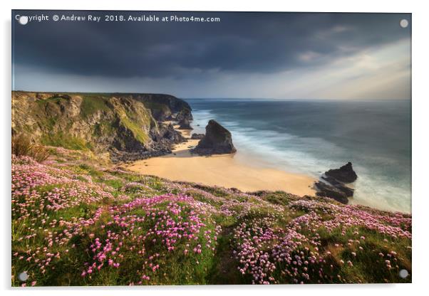 Spring Evening at Bedruthan Steps Acrylic by Andrew Ray