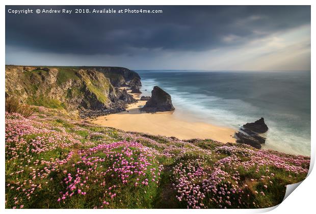 Spring Evening at Bedruthan Steps Print by Andrew Ray