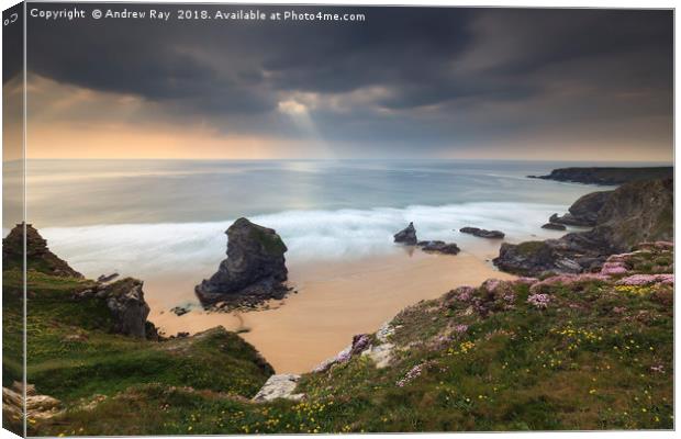 Late Afternoon (Bedruthan Steps) Canvas Print by Andrew Ray