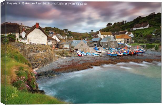Cadgwith Harbour View Canvas Print by Andrew Ray