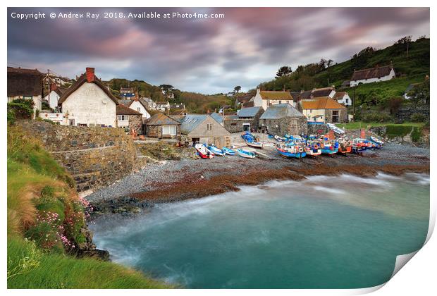 Cadgwith Harbour View Print by Andrew Ray