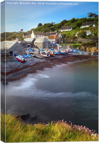Todden View (Cadgwith) Canvas Print by Andrew Ray