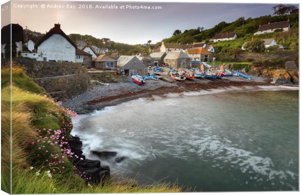 Spring  at Cadgwith Canvas Print by Andrew Ray