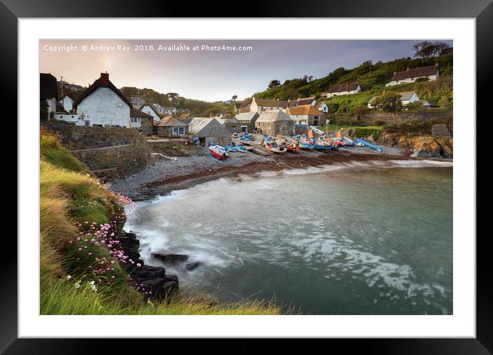 Spring  at Cadgwith Framed Mounted Print by Andrew Ray
