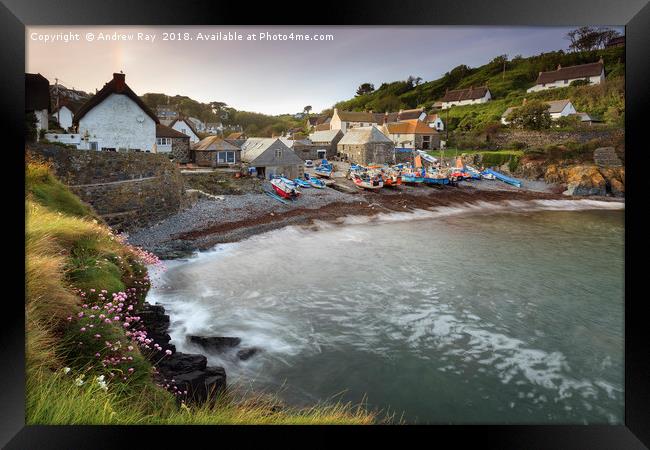 Spring  at Cadgwith Framed Print by Andrew Ray