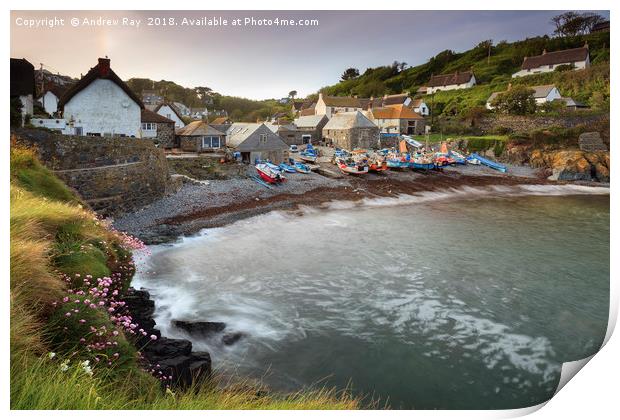 Spring  at Cadgwith Print by Andrew Ray