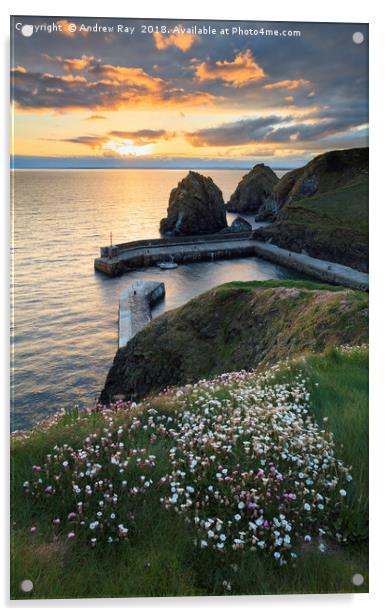 Spring Flowers at Sunset (Mullion Cove). Acrylic by Andrew Ray