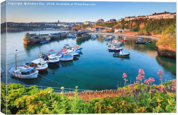 Spring at Newquay Harbour Canvas Print by Andrew Ray