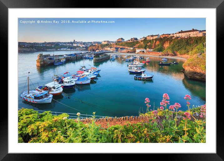 Spring at Newquay Harbour Framed Mounted Print by Andrew Ray