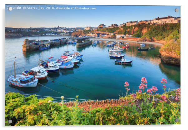 Spring at Newquay Harbour Acrylic by Andrew Ray