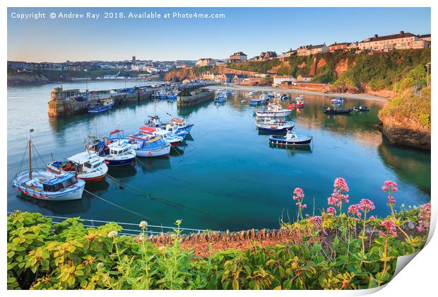 Spring at Newquay Harbour Print by Andrew Ray