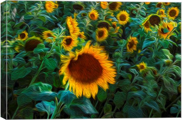Van Gogh style Sunflowers Canvas Print by Leighton Collins
