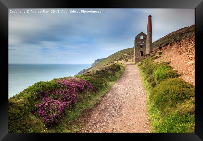 Footpath to Towanroath Engine House (Wheal Coates) Framed Print by Andrew Ray