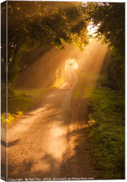 Road to Heaven Canvas Print by Neil Yeo