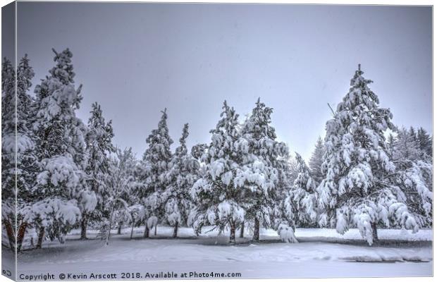 Snowfall and trees Canvas Print by Kevin Arscott