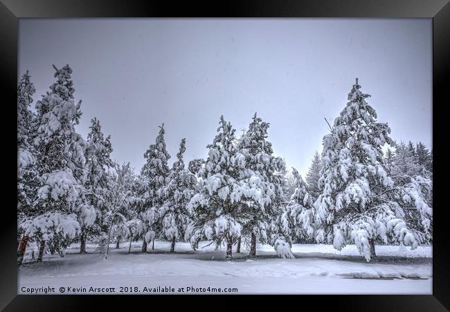 Snowfall and trees Framed Print by Kevin Arscott