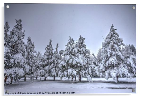 Snowfall and trees Acrylic by Kevin Arscott