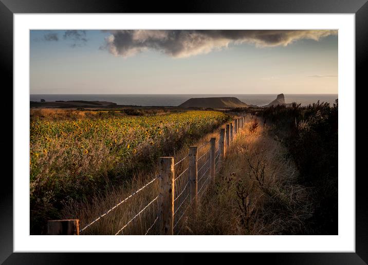 Rhossili fields Framed Mounted Print by Leighton Collins
