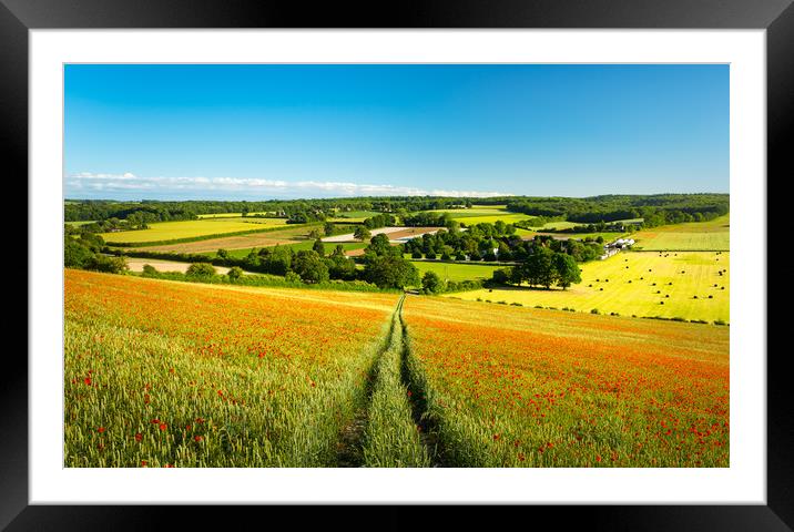 Poppies on the Kent Downs Framed Mounted Print by Stewart Mckeown