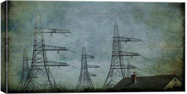 POLLUTION Canvas Print by Tony Sharp LRPS CPAGB