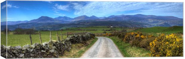 Road to Paradise - Panorama Canvas Print by Philip Brown