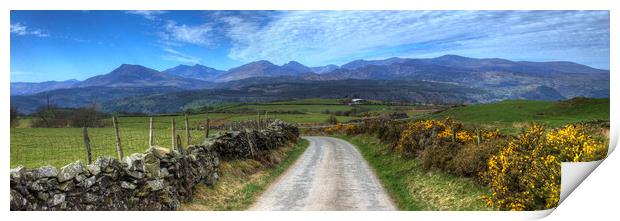 Road to Paradise - Panorama Print by Philip Brown