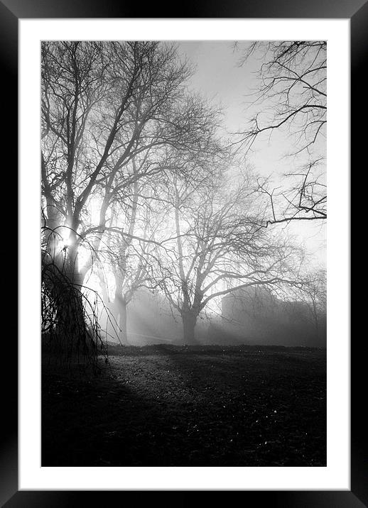 Misty Morning Framed Mounted Print by Christine Lake