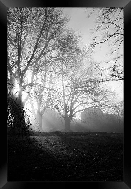 Misty Morning Framed Print by Christine Lake