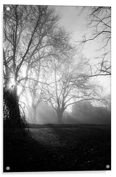 Misty Morning Acrylic by Christine Lake