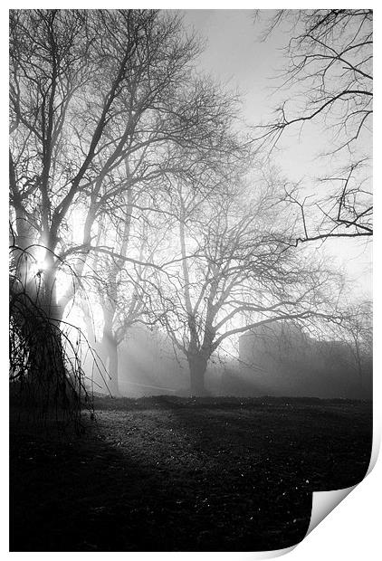 Misty Morning Print by Christine Lake