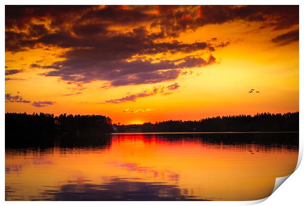 Swedish sunset Print by Hamperium Photography