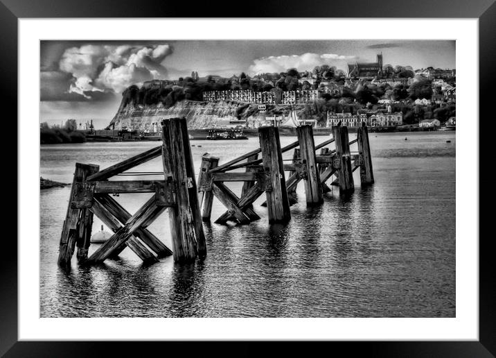 Cardiff Bay Dolphins Monochrome Framed Mounted Print by Steve Purnell