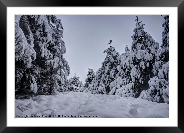 The Still Winter Forest Framed Mounted Print by Kevin Arscott