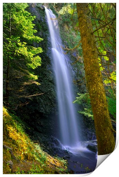 Plodda Falls Print by Alan Simpson