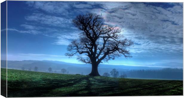 Early mourning Silhouette in Shropshire Canvas Print by Philip Brown