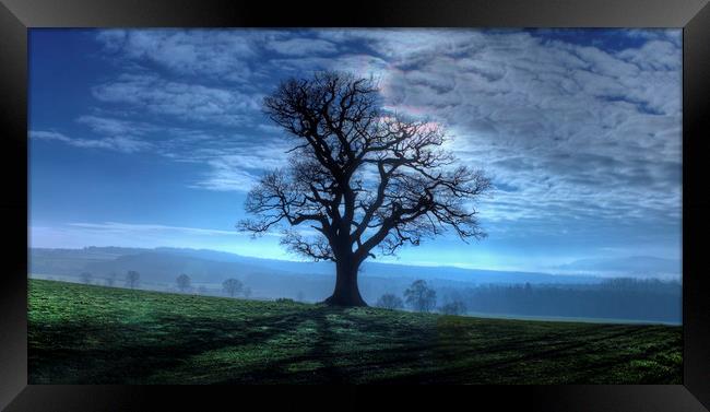 Early mourning Silhouette in Shropshire Framed Print by Philip Brown