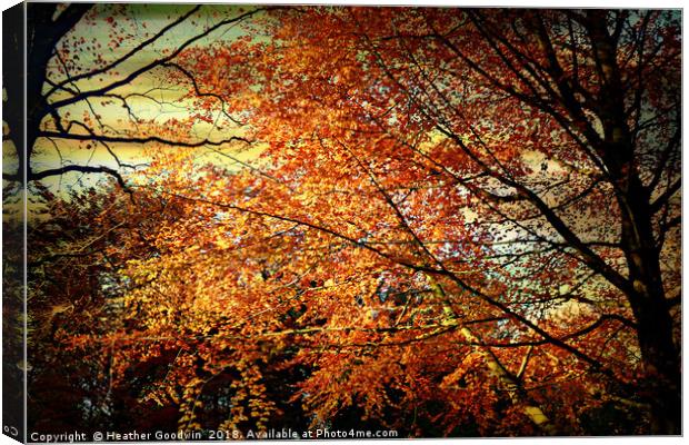 Touched by Autumn Canvas Print by Heather Goodwin