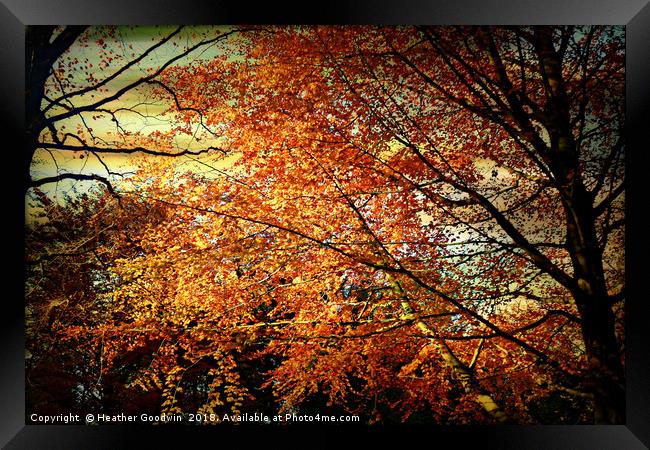 Touched by Autumn Framed Print by Heather Goodwin