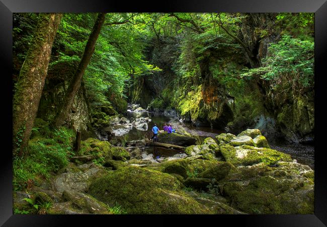 The Fairy Glen Framed Print by Philip Brown