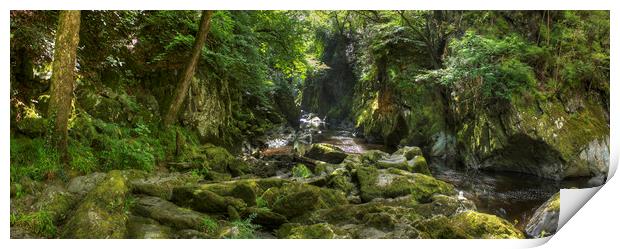 The Fairy Glen - Panorama Print by Philip Brown