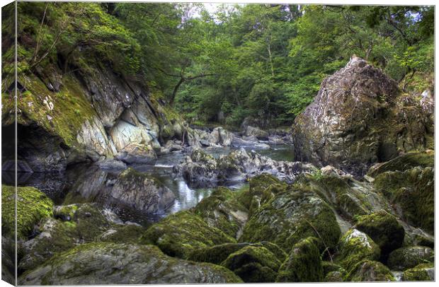 Rocky stream in the Fairy Glenn, Wales Canvas Print by Philip Brown