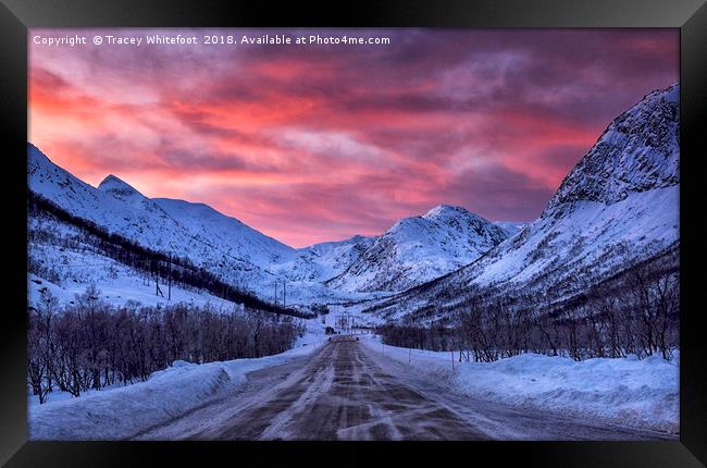 The Road to Lofoten Framed Print by Tracey Whitefoot