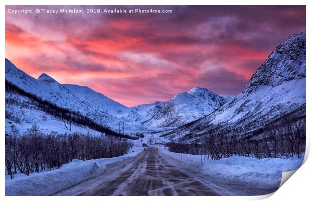 The Road to Lofoten Print by Tracey Whitefoot