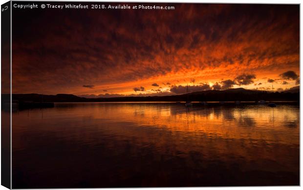 A Mirrored Sunset  Canvas Print by Tracey Whitefoot